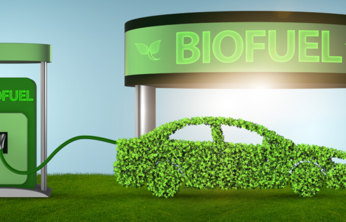 Biofuels: The Future of the Automobile Industry?